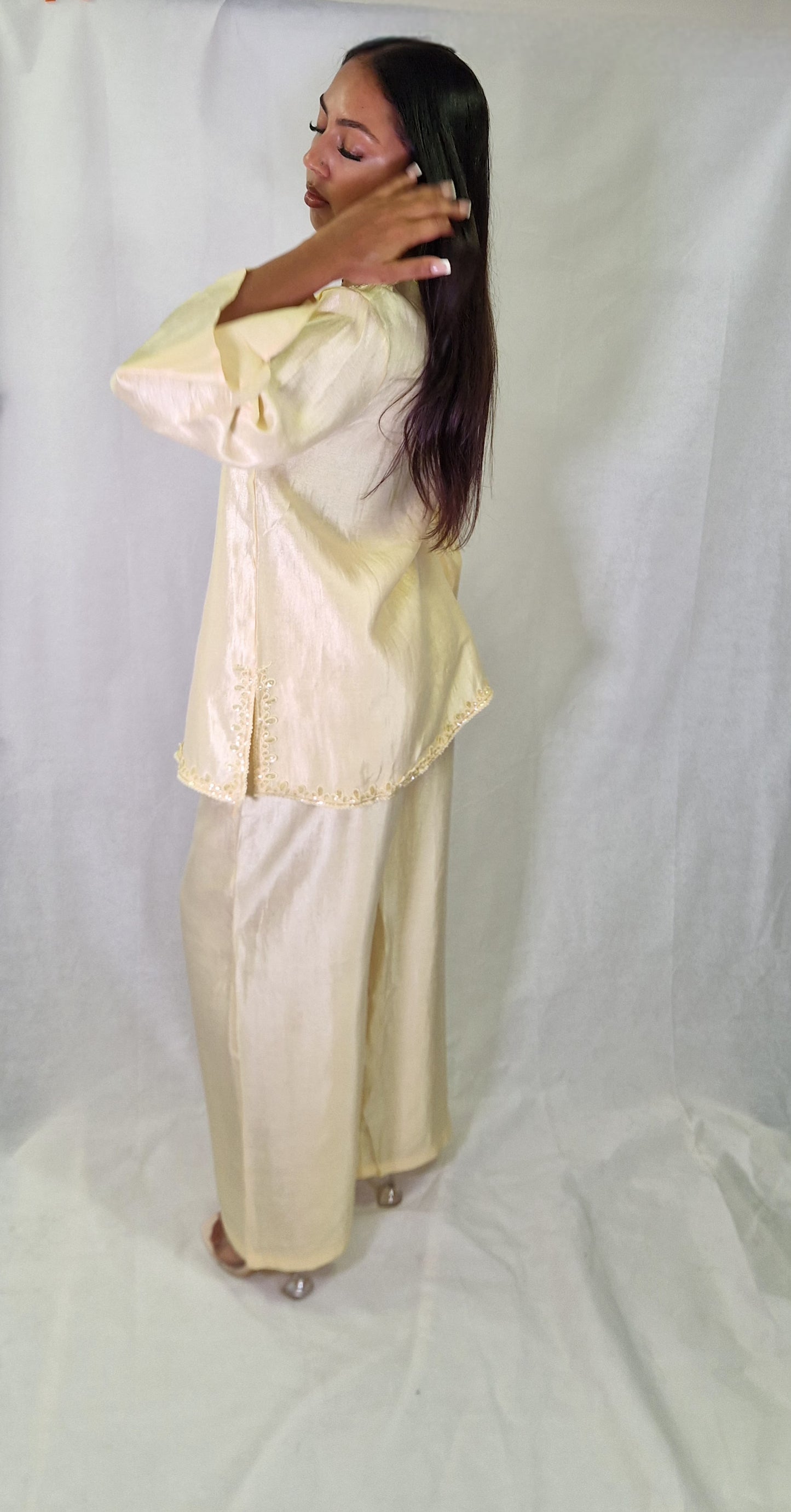 Meher Organza co ord